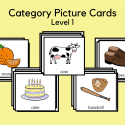 Category Picture Cards – Level 1