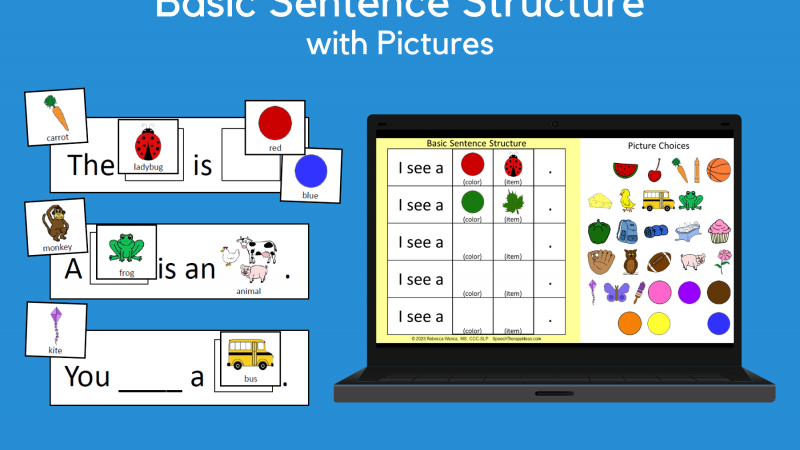 Basic Sentence Structure With Pictures
