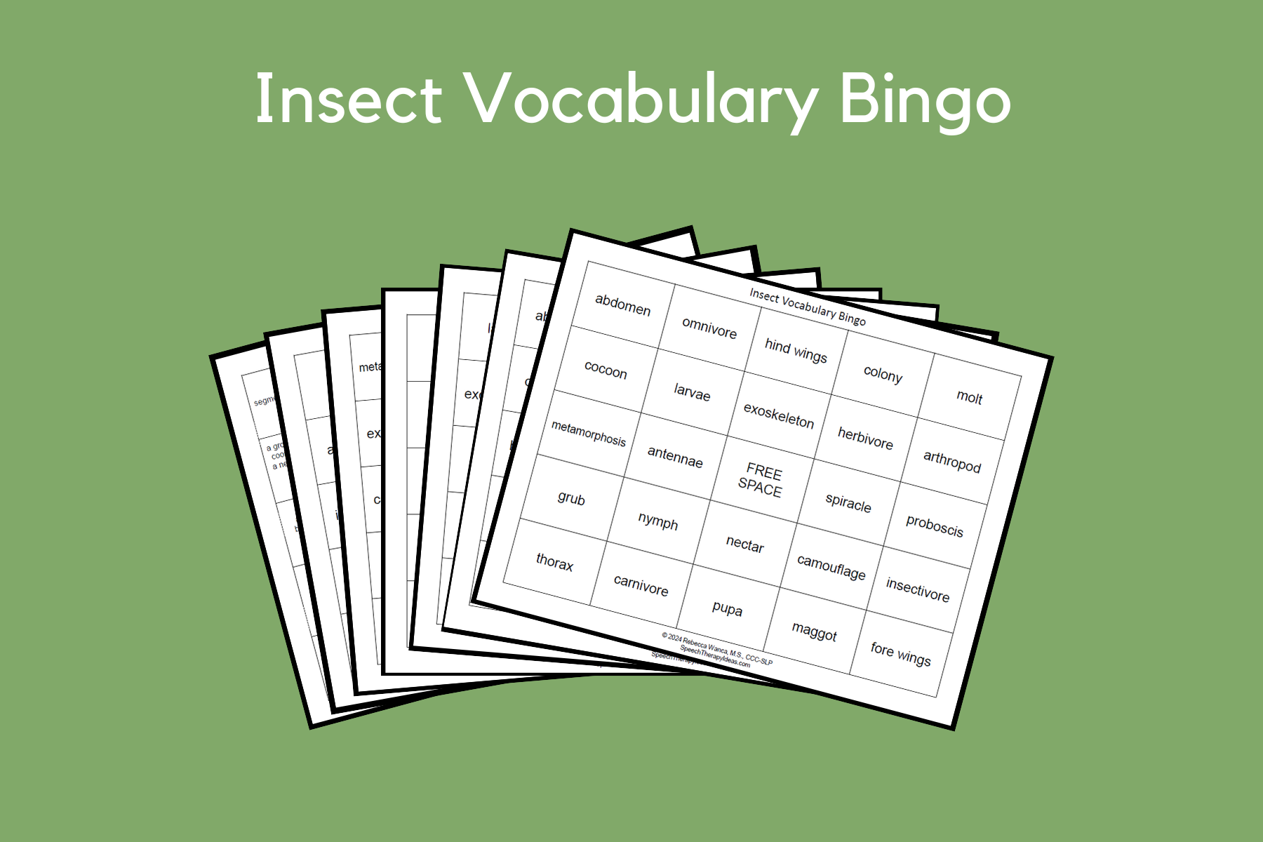Insect Vocabulary Bingo