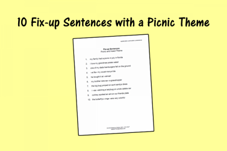 10 Fix-up Sentences with a Picnic Theme