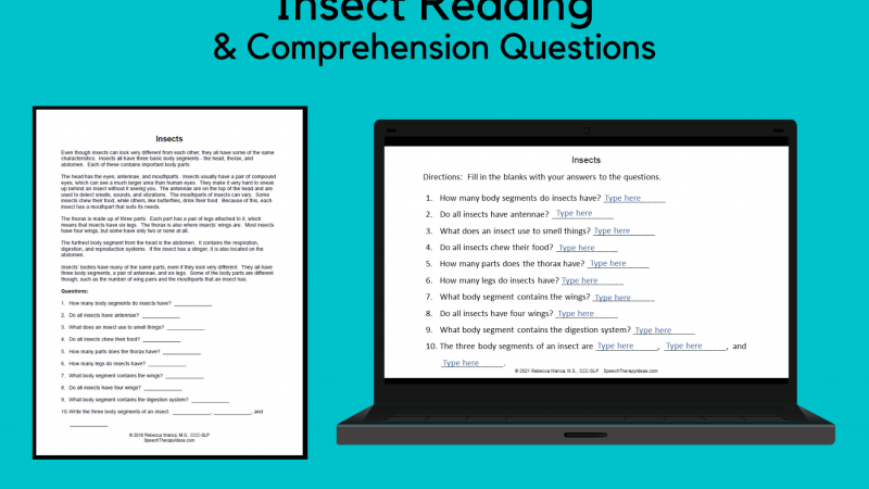 Insect Reading & Comprehension Questions
