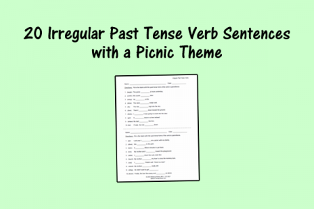 20 Irregular Past Tense Verb Sentences with a Picnic Theme