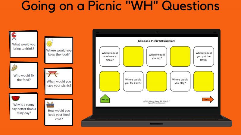 Going On A Picnic WH Questions