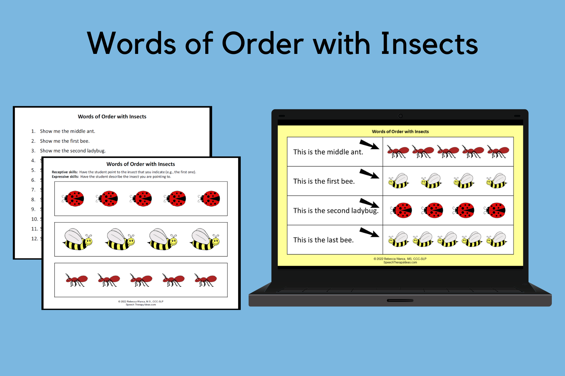 Words of Order with Insects