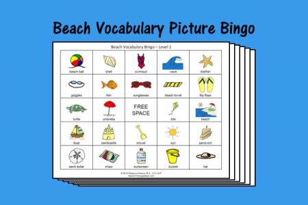Beach Vocabulary Picture Bingo