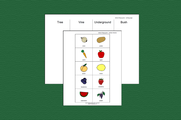 Sorting Fruits and Vegetables by Where They Grow