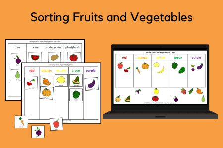 Sorting Fruits and Vegetables