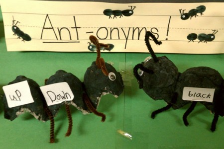Antonym Ants