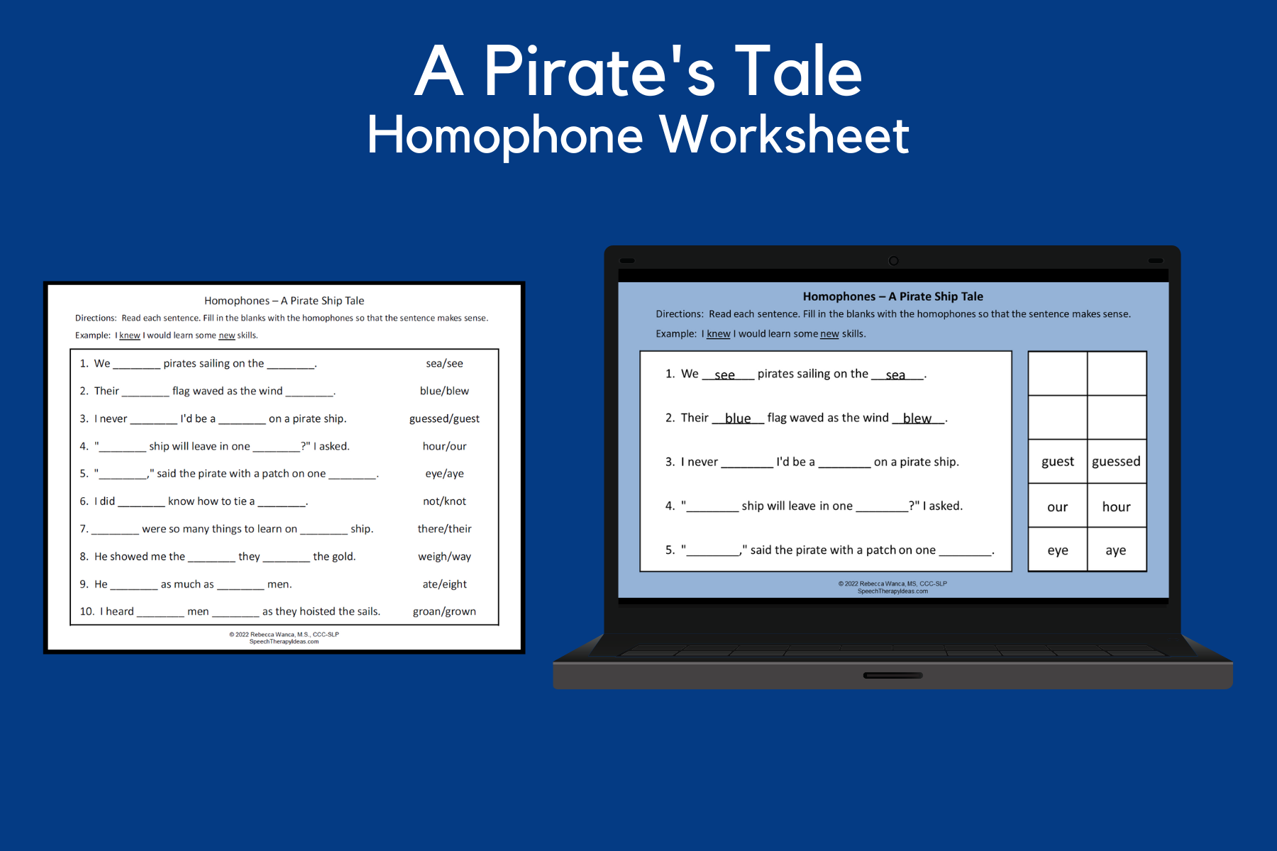 Homophone Worksheet – Pirates Theme