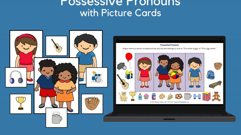 Possessive Pronouns With Picture Cards