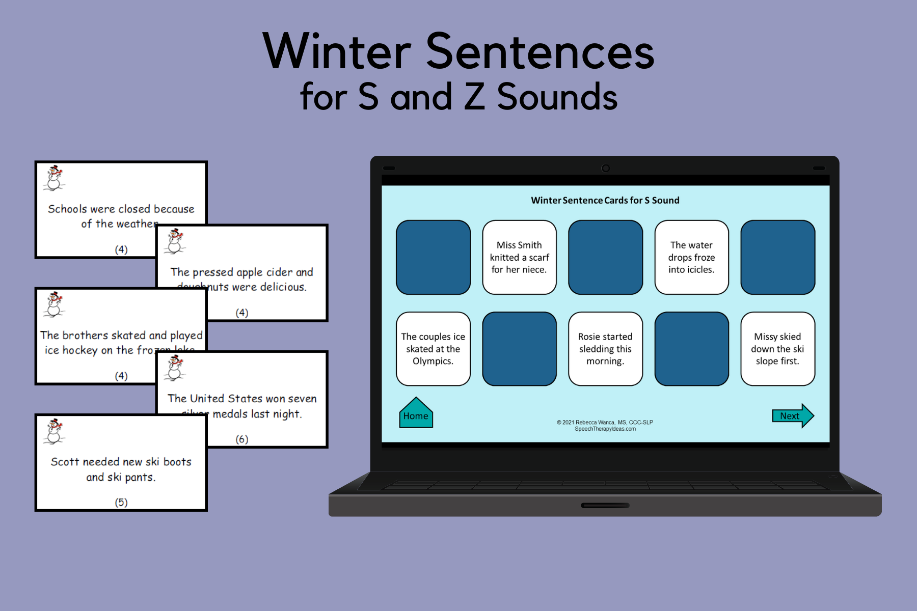 Winter Sentences for S and Z Sounds