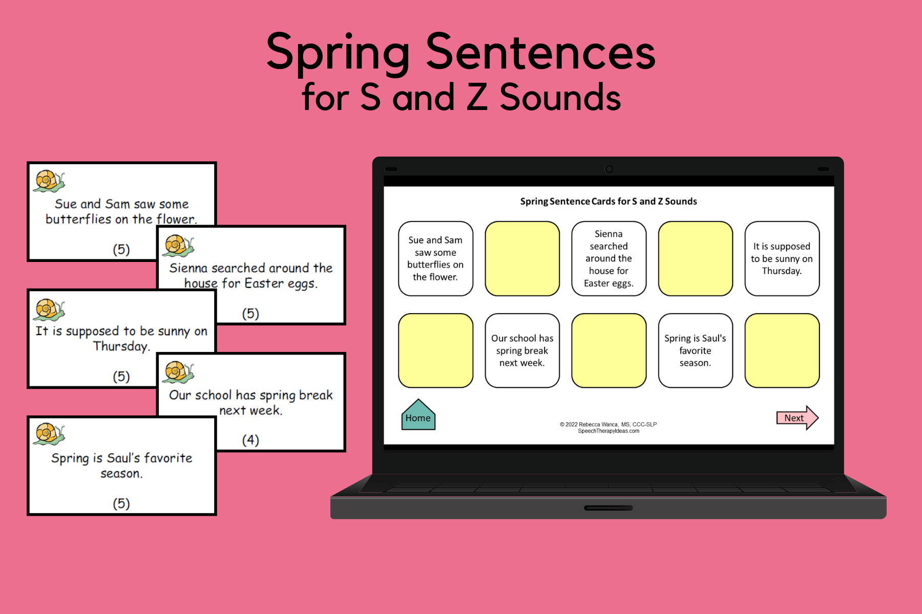 Spring Sentences for S and Z Sounds