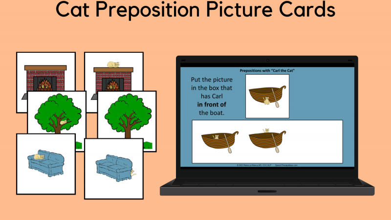 Cat Preposition Cards