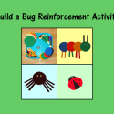 Build A Bug Reinforcement Activity