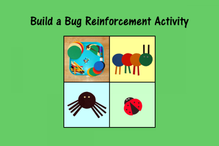 Build a Bug Reinforcement Activity