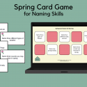 Spring Card Game For Naming Skills