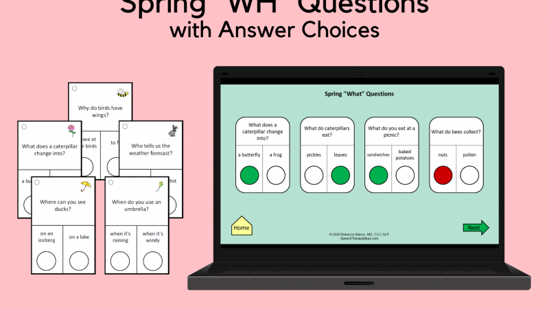 Spring WH Questions With Choices