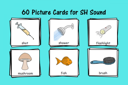 Picture Cards for SH Sound