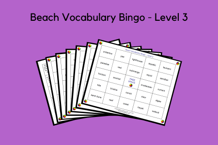Beach Vocabulary Bingo - Level 3