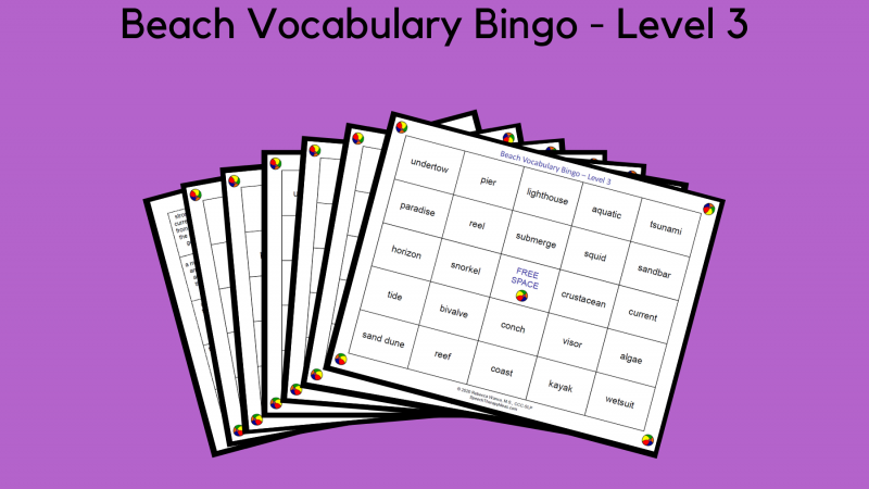 Beach Vocabulary Bingo – Level 3