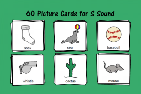 Picture Cards for S Sound
