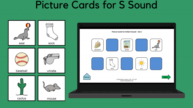 Picture Cards For S Sound