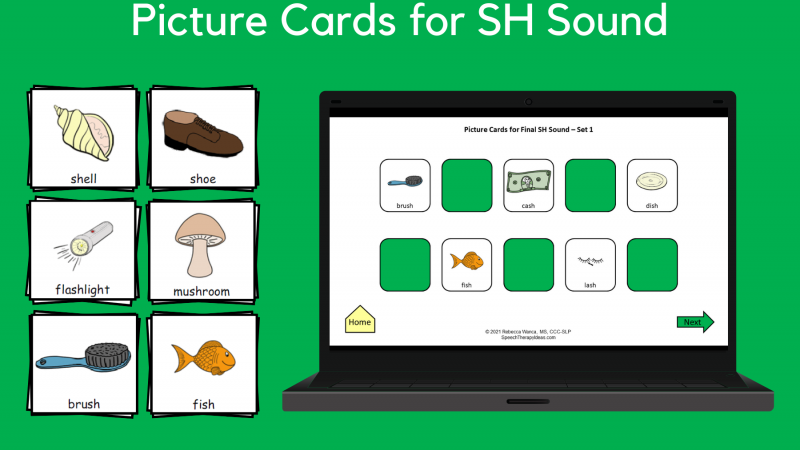 Picture Cards For SH Sound