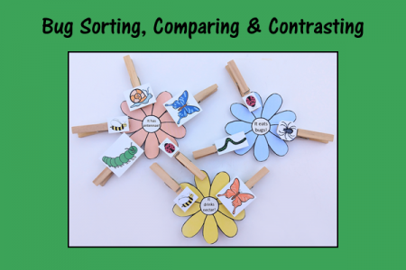 Bug Sorting, Comparing & Contrasting