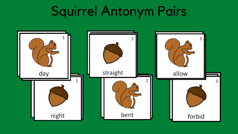 Squirrel Antonym Pairs