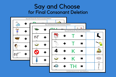 Say and Choose for Final Consonant Deletion