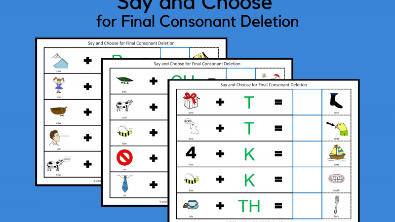Say And Choose For Final Consonant Deletion