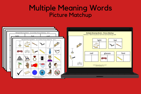 Multiple Meaning Words - Picture Matchup