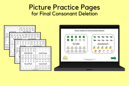 Picture Practice Pages for Final Consonant Deletion