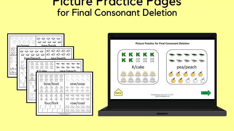 Picture Practice Pages For Final Consonant Deletion