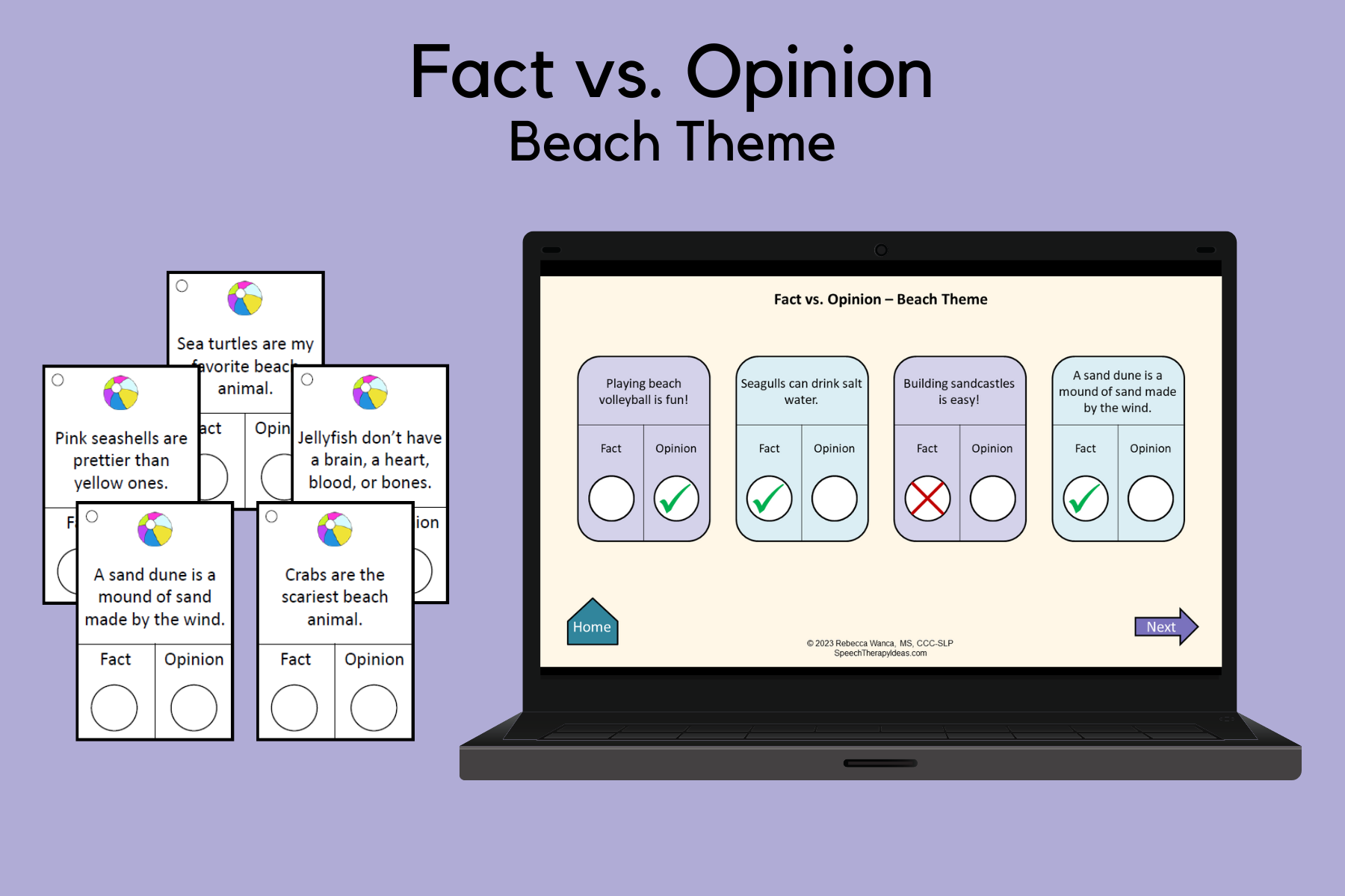 Fact vs. Opinion – Beach Theme