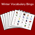 Winter Vocabulary Bingo