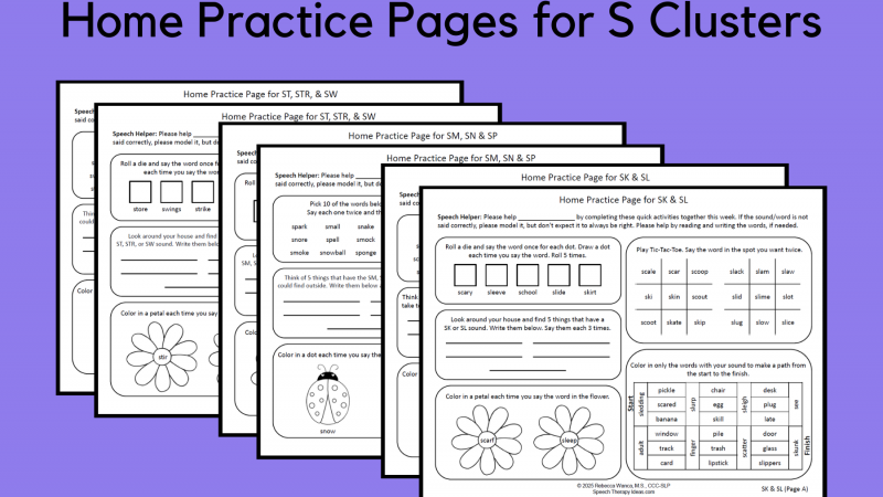 Home Practice Pages For S Clusters