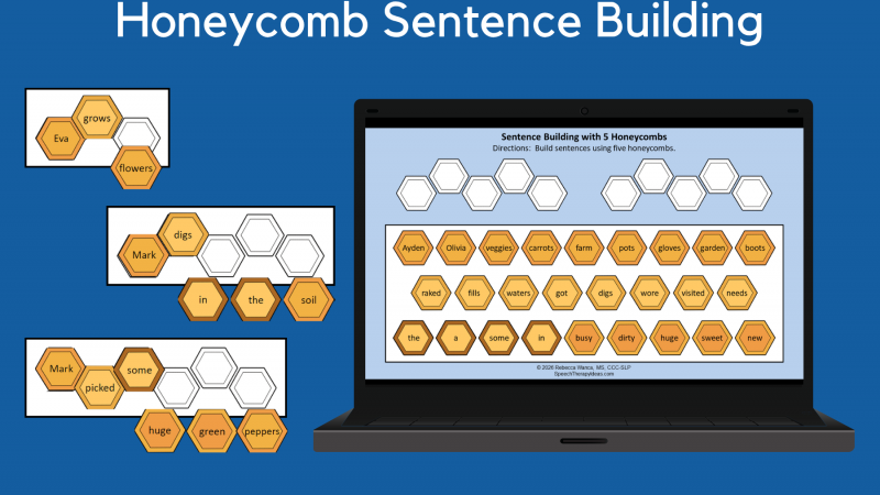 Honeycomb Sentence Building