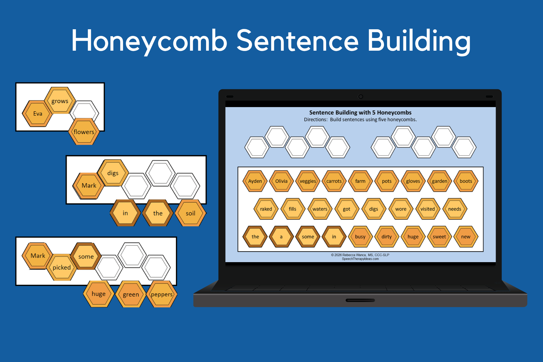 Honeycomb Sentence Building